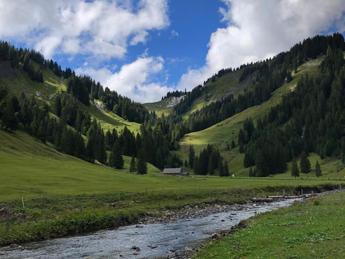 Walli Laterns - Ski Und Bergvergnuegen Direkt Vor Der Haustuer Exterior photo